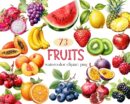 Fruit