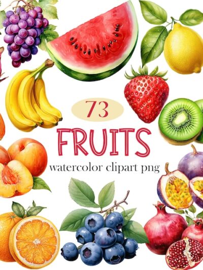 Fruit