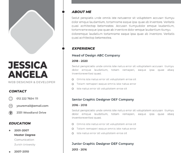 Professional CV Resume Template Vol.10