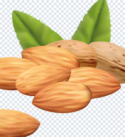almond_png
