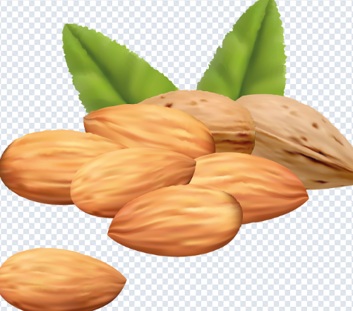 almond_png