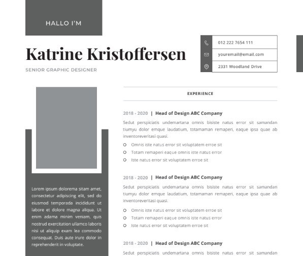 Professional CV Resume Vol.43