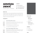 Professional CV Resume Vol.31