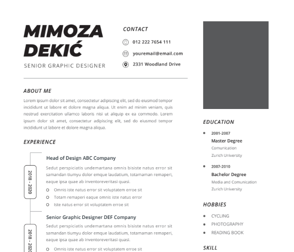 Professional CV Resume Vol.31