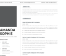 Professional CV Resume Vol.5