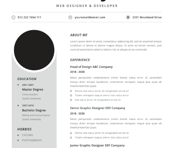 Professional CV Resume Vol.24