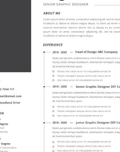 Professional CV Resume Vol.22