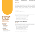 Professional CV Resume Template Vol.12