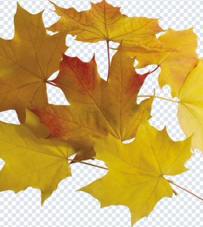 tobacco_png