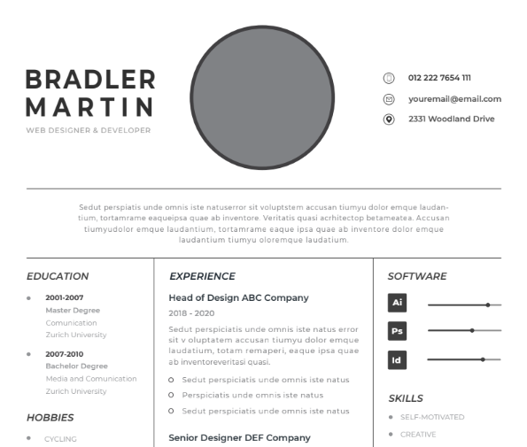 Professional CV Resume Vol.7