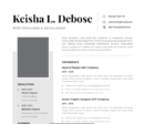 Professional CV Resume Vol.20