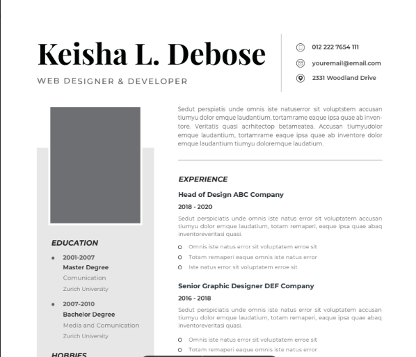 Professional CV Resume Vol.20