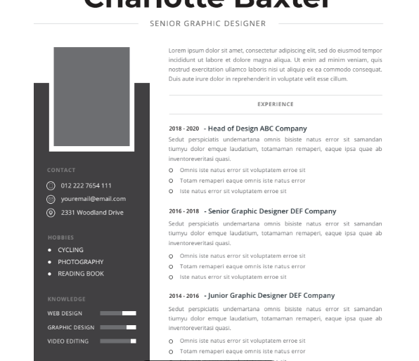 Professional CV Resume Vol.1