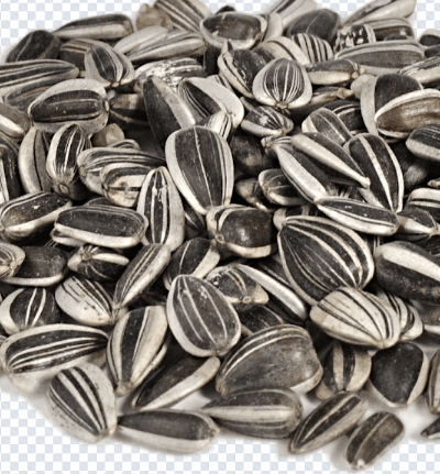 sunflower_seeds_png