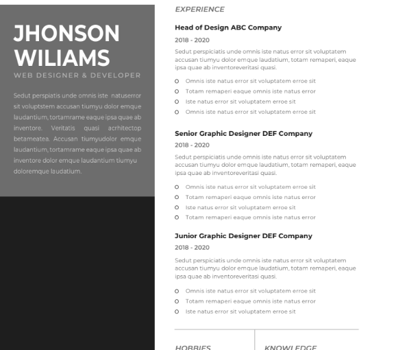 Professional CV Resume Template Vol.8