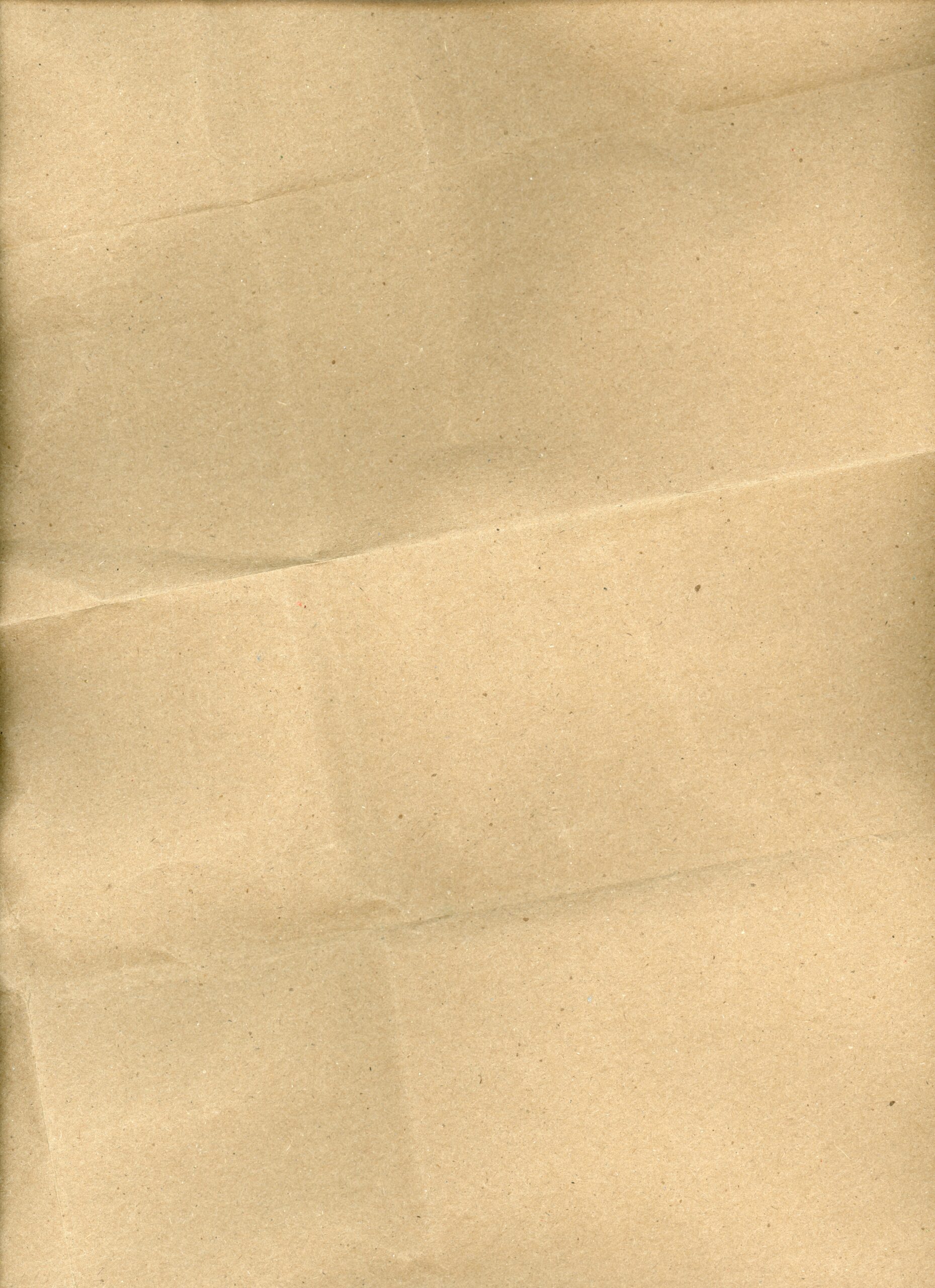 Brown paper bag