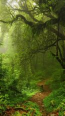 Nature and Landscapes