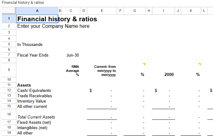 Financial history ratios.xlt