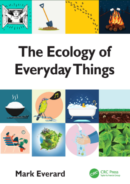 The Ecology of Everyday Things