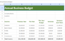 Annual Business Budget.xlsx
