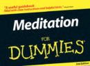 Meditation Of Dummies