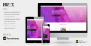 elements brix mobile app landing page muse template