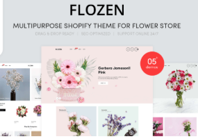 Flozen-home