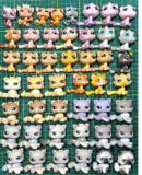 Pet Shop