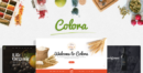 elements colora organic responsive magento theme