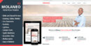 elements molaneo multi purpose muse template