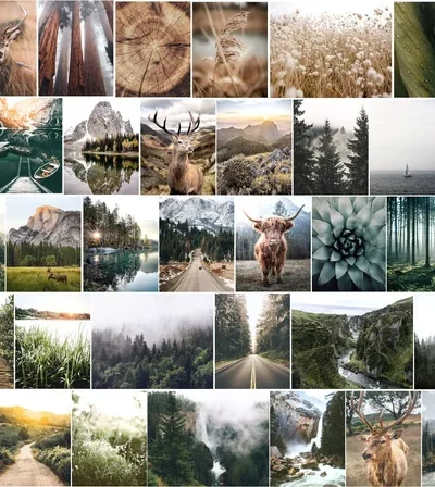 100+ Honor Posters