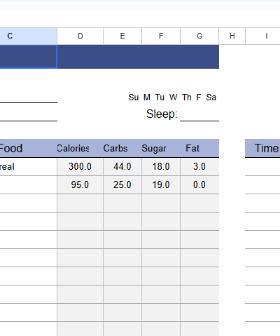 DAILY FOOD LOG.xlsx
