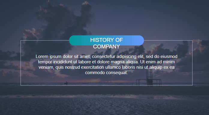 History of Company.pptx