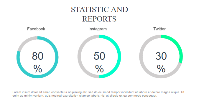 Statistic and Reports.pptx